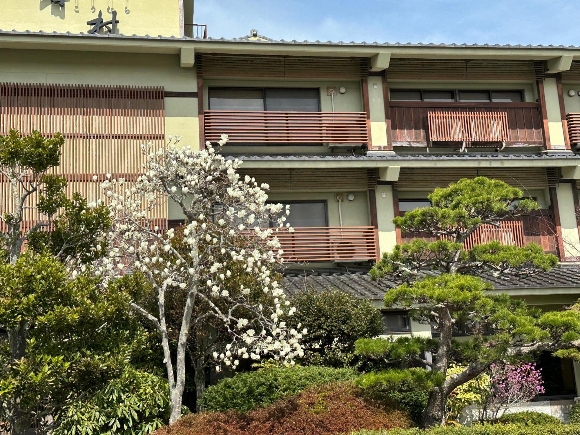 Matsushima Koumura Kültér fotó